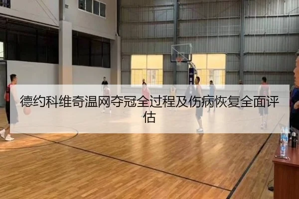 德约科维奇温网夺冠全过程及伤病恢复全面评估 | 3377 SPORTS